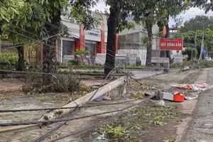 Cột điện cùng dây dẫn điện ở phường Nghi Sơn, tỉnh Thanh Hóa bị gãy, đổ.