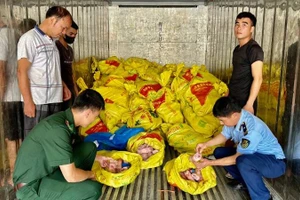 Các lực lượng chống buôn lậu gồm: Quản lý thị trường, Bộ đội biên phòng phát hiện, bắt giữ xe chở thực phẩm "bẩn" trên địa bàn huyện Lộc Bình (Lạng Sơn). 