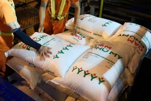 23 năm qua, PVFCCo - Phú Mỹ đã cung ứng ra thị trường khoảng 25 triệu tấn phân bón hóa chất các loại