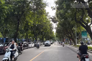 [Ảnh] Toàn cảnh khu vực chuẩn bị xây quảng trường trước Công viên Thống Nhất