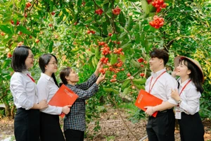 Nữ cán bộ, người lao động Agribank luôn cố gắng hoàn thành tốt nhiệm vụ chuyên môn ở các vị trí công tác khác nhau