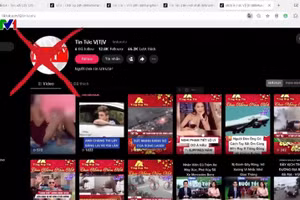 70 kênh và hội nhóm trên các nền tảng mạng xã hội như Facebook, TikTok sử dụng trái phép tên gọi, logo và hình ảnh của VTV nhằm phục vụ các mục đích bất hợp pháp.