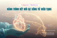 Hành trình kết nối sự sống từ hiến tạng 