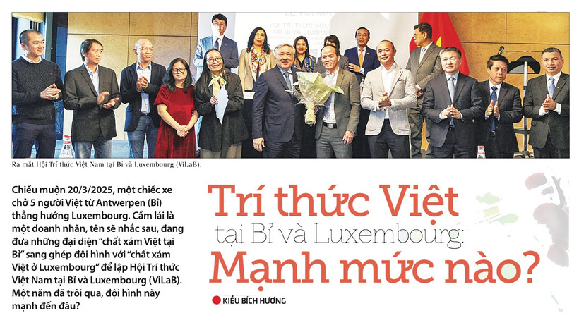 Trí thức Việt tại Bỉ và Luxembourg mạnh mức nào?