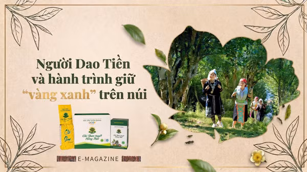 Người Dao Tiền và hành trình giữ “vàng xanh” trên núi