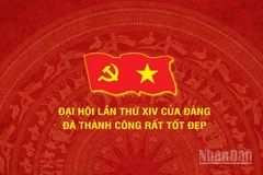 [Infographic] Nhìn lại toàn cảnh Đại hội đại biểu toàn quốc lần thứ XIV của Đảng
