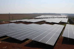 Ảnh minh họa. (Ảnh: Anh Dũng – TTXVN)