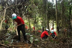 Trong ảnh: Các em học sinh và các tình nguyện viên tham gia trồng rừng tại Vườn quốc gia Bến En, tỉnh Thanh Hóa. (Ảnh: Trịnh Duy Hưng - TTXVN)