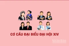 [Infographic] Cơ cấu, thành phần đại biểu dự Đại hội XIV của Đảng