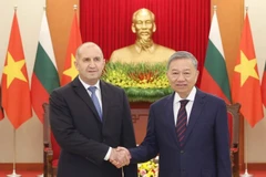 Tổng Bí thư Tô Lâm tiếp Tổng thống Cộng hòa Bulgaria Rumen Radev thăm chính thức Việt Nam, tại Trụ sở Trung ương Đảng, chiều 25/11/2024. (Ảnh: Thống Nhất/TTXVN)
