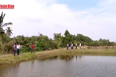 Chủ động dự báo điều tiết nguồn nước mùa khô năm 2026 tại Đồng bằng sông Cửu Long