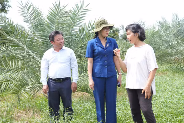 Bí thư Đảng ủy xã Hàm Thuận Nam Nguyễn Minh Hoàng (áo xanh) khảo sát tình hình xã hội tại cơ sở. (Ảnh: HOÀNG VÂN)