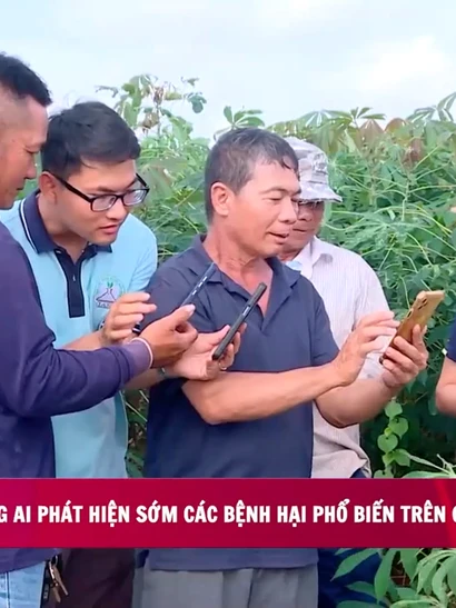 [Video] Ứng dụng AI phát hiện sớm các bệnh hại phổ biến trên cây sắn