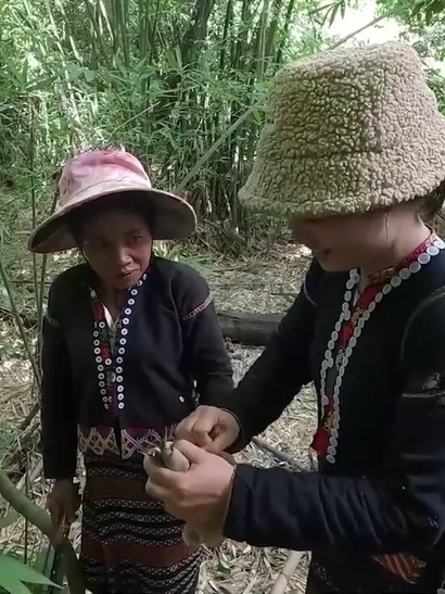 [Video] Sản xuất măng rừng khô chất lượng cao bằng công nghệ sấy bơm nhiệt