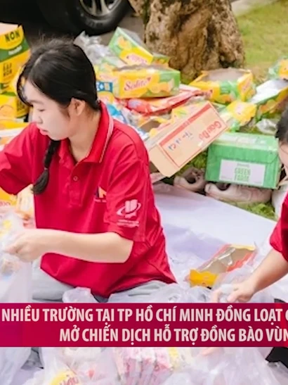 [Video] Nhiều trường tại TP Hồ Chí Minh giảm học phí, mở chiến dịch hỗ trợ đồng bào vùng lũ