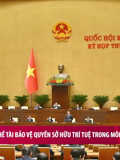 [Video] Tăng chế tài bảo vệ quyền sở hữu trí tuệ trong môi trường số 