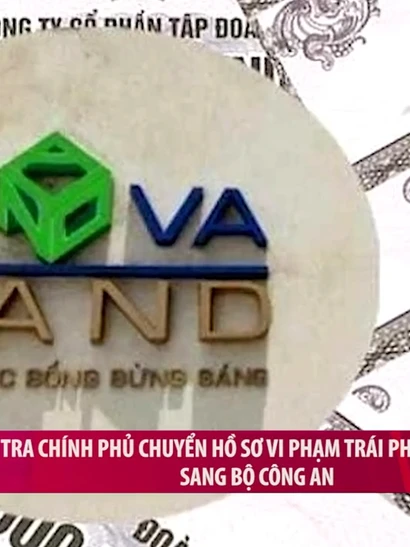 [Video] Thanh tra Chính phủ chuyển hồ sơ vi phạm trái phiếu của Novaland sang Bộ Công an