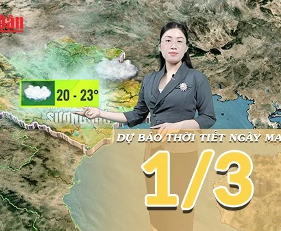 [Video] Dự báo thời tiết đêm nay và ngày mai 1/3/2026: Vùng áp thấp phía Tây phát triển mạnh, cả nước chuyển nắng ráo