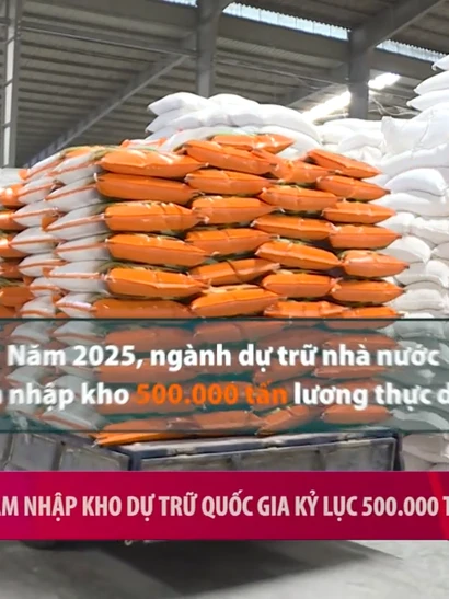 [Video] Việt Nam nhập kho dự trữ quốc gia kỷ lục 500.000 tấn lương thực