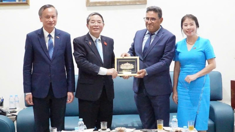 Phó Chủ tịch Quốc hội Nguyễn Đức Hải và Phó Thủ tướng Chính phủ Lê Thành Long cùng Đoàn đại biểu đã thăm, làm việc tại thành phố Tangier. (Ảnh: VĂN CHÚC) thamtaniger2.jpg