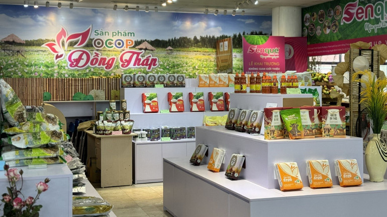 កន្លែងស្តង់ផលិតផល OCOP Dong Thap នៅមជ្ឈមណ្ឌលជំរុញពាណិជ្ជកម្មកសិកម្មវៀតណាម លេខ ៤៨៩ Hoang Quoc Viet ទីក្រុងហាណូយ។ ocop7.jpg
