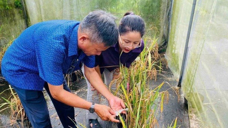 Bà Nguyễn Thị Thúy Phượng, Trưởng Văn phòng Điều phối Dự án “Đọc sách cùng Xích Lô” cùng nhà khoa học, “Vua lúa giống” Nguyễn Anh Dũng cùng nhà khoa học, “Vua lúa giống” Nguyễn Anh Dũng. nnx4.jpg