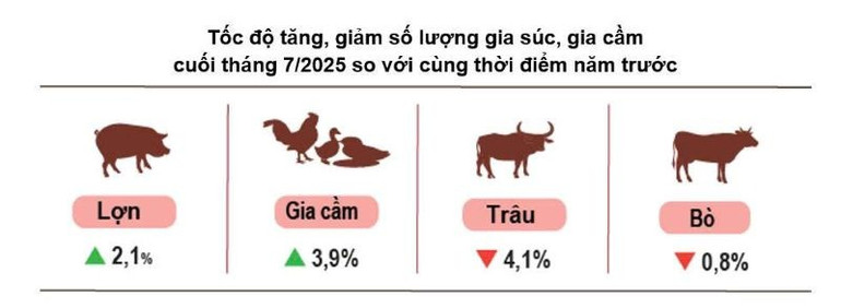 NGUỒN: GSO channuoi725.jpg