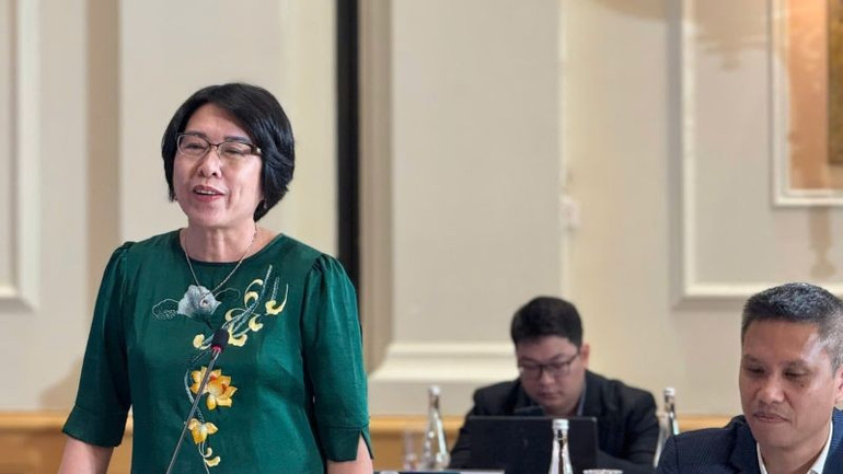 Tiến sĩ Trần Thị Hồng Minh, Viện trưởng Viện Nghiên cứu Chính sách và Chiến lược. (Ảnh: HNV) baminh.jpg