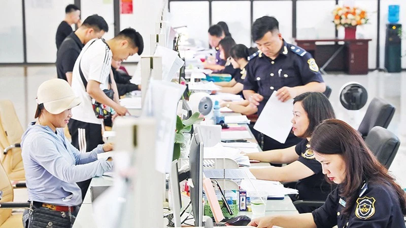 Bộ Y tế đôn đốc triển khai Nghị định an toàn thực phẩm, tạm ngưng hiệu lực đến 15/4/2026