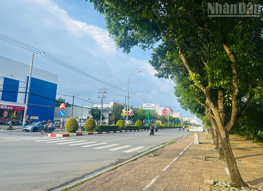 Hàng cây xanh trước siêu thị Co.opmart phường Bạc Liêu (phía công viên văn hóa Trần Huỳnh) vẫn rất xanh tốt, đẹp mắt. (Ảnh: TRỌNG DUY). ndo_tr_img-2753.jpg