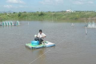 Nhờ được chính quyền địa phương hỗ trợ, nhiều hộ gia đình ở TP Bà Rịa đã thoát nghèo, vươn lên làm giàu.