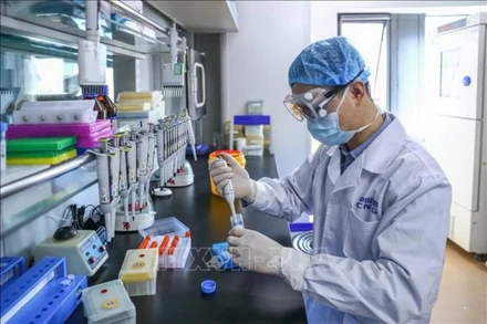 Ảnh minh họa: THX/TTXVN