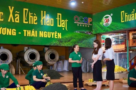 Người lao động Hợp tác xã chè Hảo Đạt (xã Tân Cương, tỉnh Thái Nguyên) đóng gói sản phẩm chè.