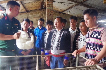 Thiếu tá Nguyễn Mạnh Hùng, Đội trưởng Sản xuất và Xây dựng cơ sở chính trị số 3 hướng dẫn người dân bản Sín Chải, xã Dào San kỹ thuật nuôi thỏ.