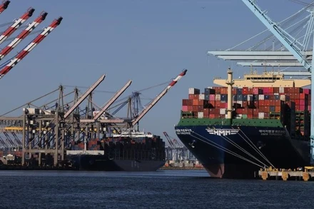 Các tàu chở hàng chất đầy container tại Cảng Los Angeles, California, Mỹ. (Ảnh: Tân hoa xã)