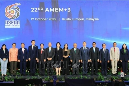 Các đại biểu tại Hội nghị Bộ trưởng Năng lượng ASEAN+3. (Ảnh: TTXVN)