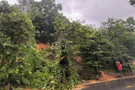 Mưa lớn kéo dài, tỉnh Tuyên Quang cảnh báo nguy cơ lũ quét, sạt lở đất ở tất cả các xã, phường.