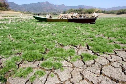 Một con thuyền mắc cạn trên lòng hồ tại huyện Wonogiri, tỉnh Trung Java (Indonesia) ngày 10/8/2023. (Ảnh: Tân Hoa xã)