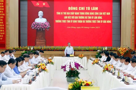 Tổng Bí thư Tô Lâm phát biểu tại buổi làm việc.