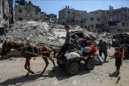 Người dân Palestine sơ tán khỏi thành phố Gaza ngày 22/8/2025. (Ảnh: THX/TTXVN)