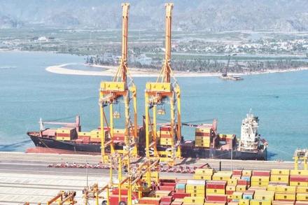 Thành phố Hải Phòng tiếp tục phát huy lợi thế cạnh tranh cảng biển. Trong ảnh: Hoạt động tại cảng Lạch Huyện. (Ảnh ANH QUÂN)