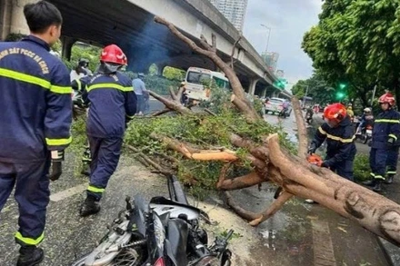 Lực lượng chức năng tham gia cứu hộ trường hợp cây đổ đè lên phương tiện của người dân. (Ảnh: Công an thành phố Hà Nội)