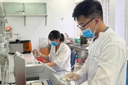 Hoạt động nghiên cứu khoa học tại Viện Cây lương thực và Cây thực phẩm.