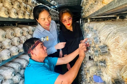 Bí thư Đảng ủy xã Ngọk Bay Trần Thị Phong Lan khảo sát quy trình sản xuất nấm tại Hợp tác xã hữu cơ Biology.