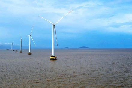 Cánh đồng điện gió đã đi vào vận hành phát điện tại vùng ven biển phường Hiệp Thành, tỉnh Cà Mau.