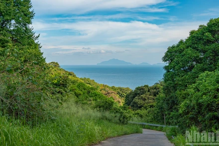 [Ảnh] Cung đường đi bộ khám phá thiên nhiên "đẹp như tranh" tại bán đảo Sơn Trà 