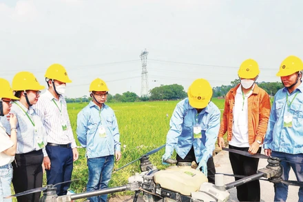 Vận hành thiết bị bay không người lái phun thuốc trừ sâu trên đồng lúa xã Thư Lâm, thành phố Hà Nội. (Ảnh ANH SƠN)