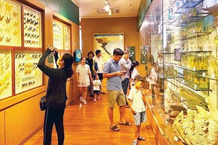 Khách tham quan Bảo tàng Thiên nhiên Việt Nam (Hà Nội).