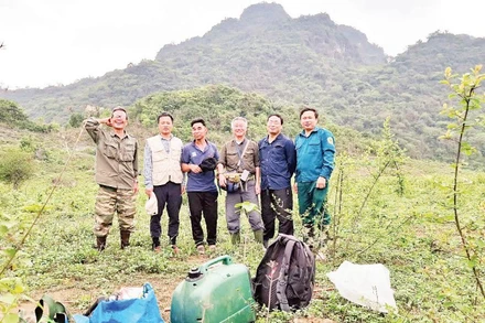 Nhóm tác giả khảo sát thực địa về các loài sinh vật hoang dã có nguy cơ bị đe dọa tuyệt chủng. (Ảnh QUANG TRƯỜNG)