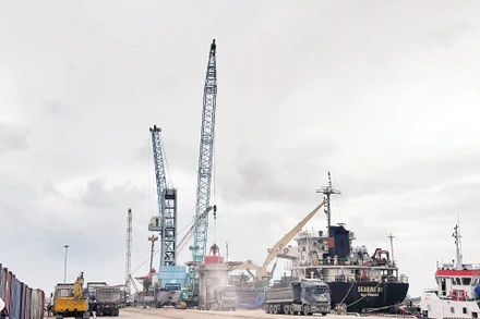 Bốc xếp hàng hóa tại Cảng Quy Nhơn, tỉnh Gia Lai. (Ảnh ĐỨC TÙNG)